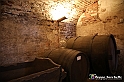 VBS_7441 - Inaugurazione Messer Tulipano 2022 Castello di Pralormo - XXII Edizione